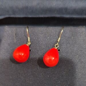 Elegant Red Teardrop Earrings